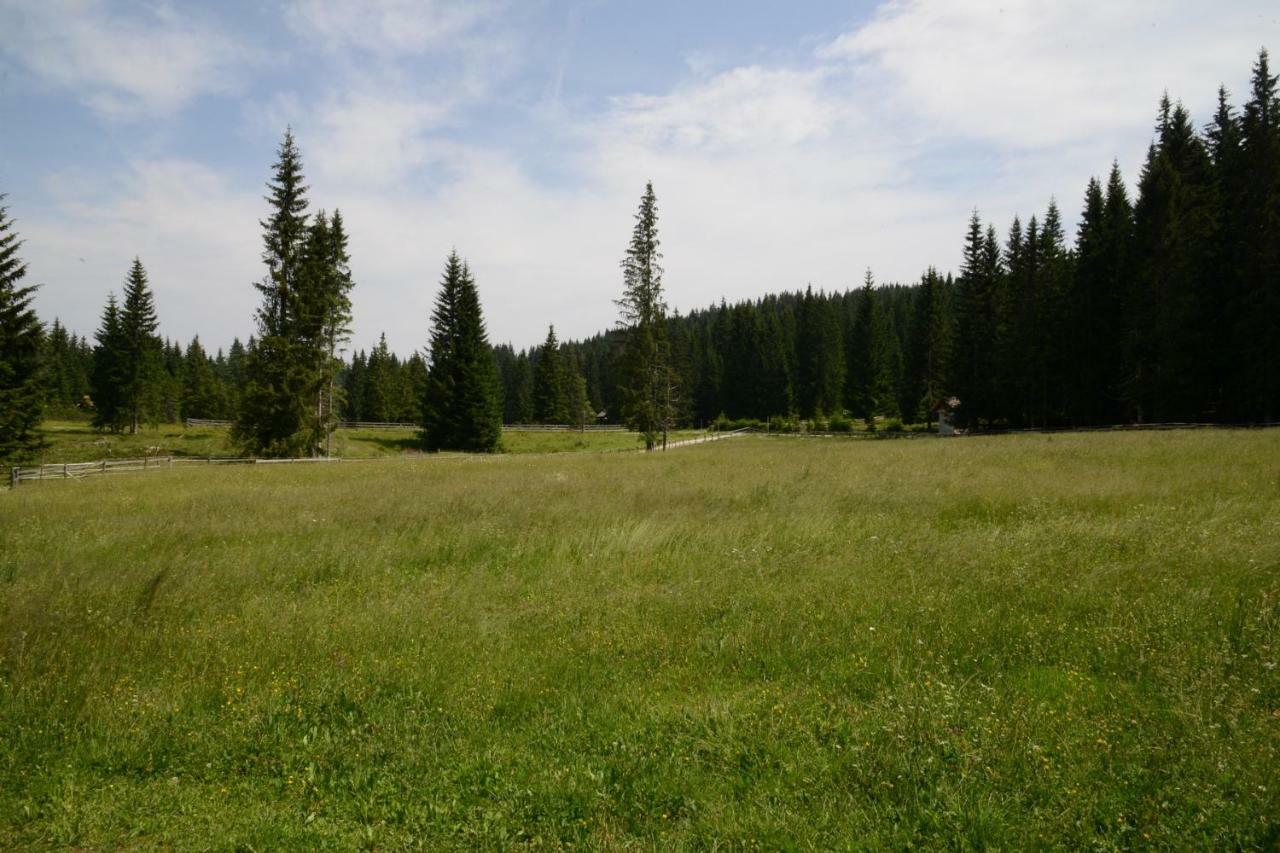 Pocitniska Hisa Jurcek Pokljuka Villa Goreljek Dış mekan fotoğraf