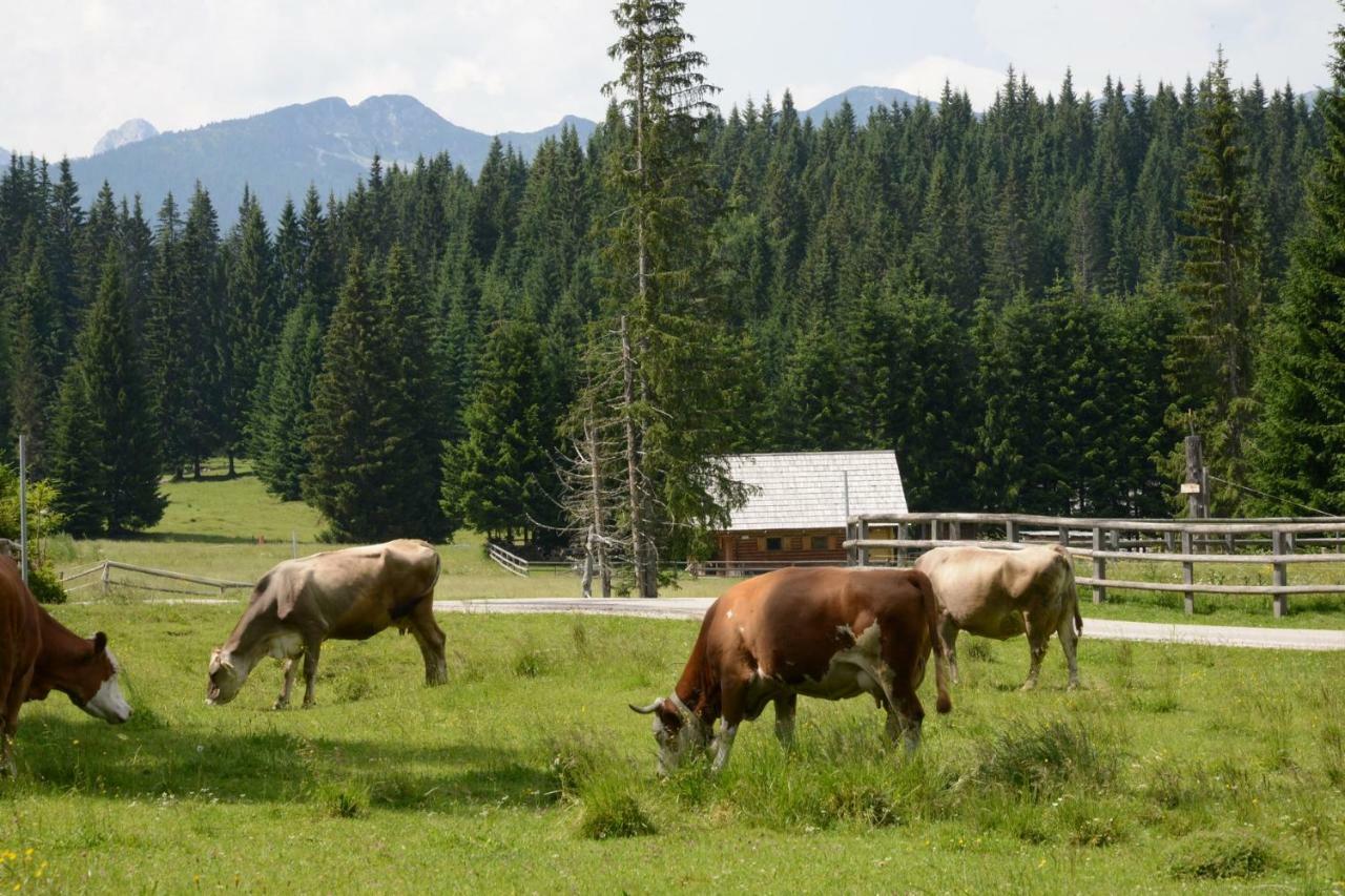 Pocitniska Hisa Jurcek Pokljuka Villa Goreljek Dış mekan fotoğraf